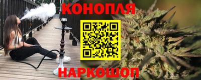 сатива Бузулук